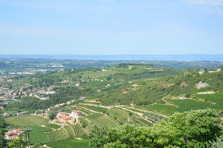 Pagus Wine Tours® - Ein Geschmack von Amarone - Halbtägige Weinprobe — Foto 3