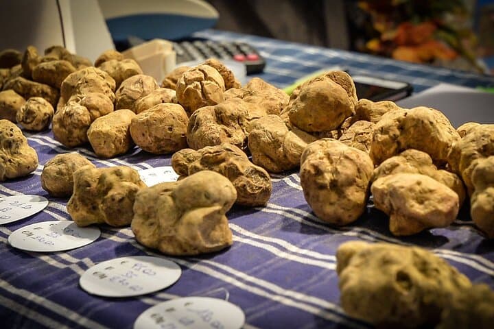 Visita Guiada a la Feria de la Trufa de Alba