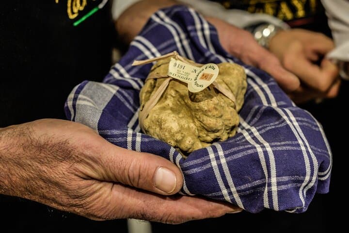 Visita Guiada a la Feria de la Trufa de Alba — foto 5