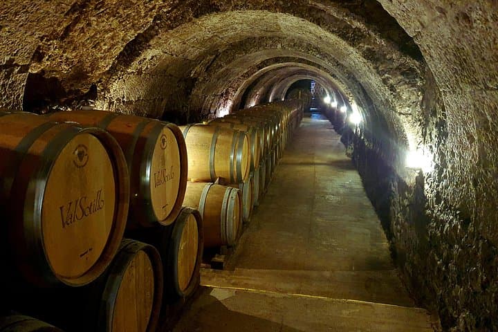 Ribera del Duero Wein Tour mit Verkostungen und Mittagessen ab Madrid