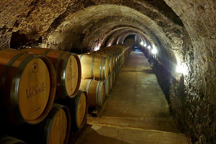 Ribera del Duero Wein Tour mit Verkostungen und Mittagessen ab Madrid