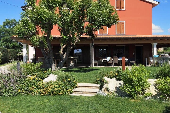 Expérience du vin Amarone dans la région de Valpolicella — photo 4