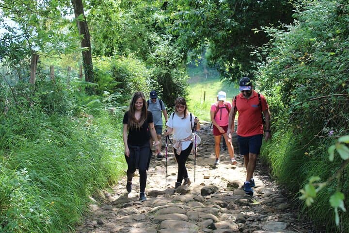 Küstenweingut Camino Trail Wanderung von San Sebastián — Foto 4