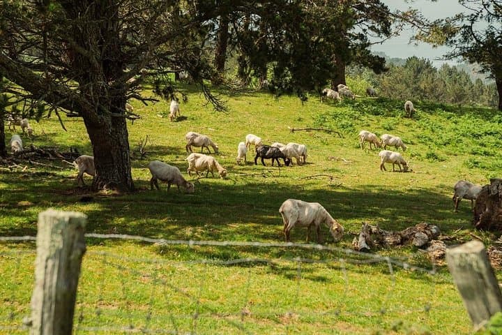 Randonnée privée d'une journée sur le Jaizkibel depuis Saint-Sébastien
