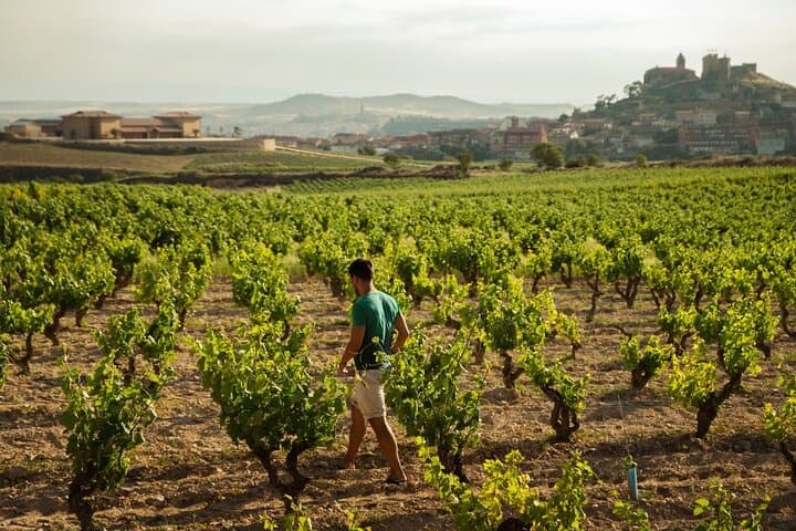 Privater Tag in Rioja von San Sebastián — Foto 2