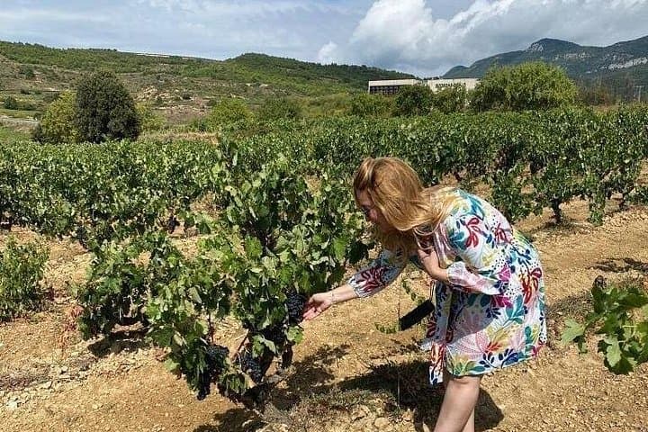 Geheime Rioja Weingut-Zugang und Verkostungs-Masterclass — Foto 4