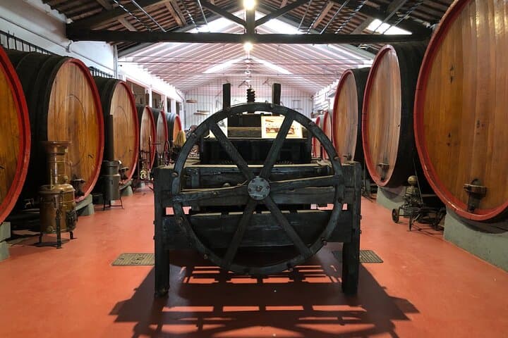 Experiencia de Supercoches y Gastronomía en Emilia — foto 2
