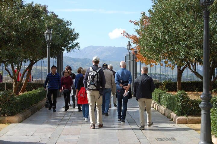 Découvrez Ronda et Setenil de las Bodegas en une journée depuis Málaga — photo 4
