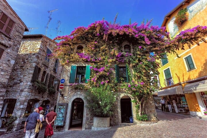 Esperienza Completa del Lago di Garda e Pranzo Locale a Valeggio — foto 5