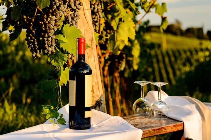 Experiencia del Vino Chianti desde Bolonia — foto 4