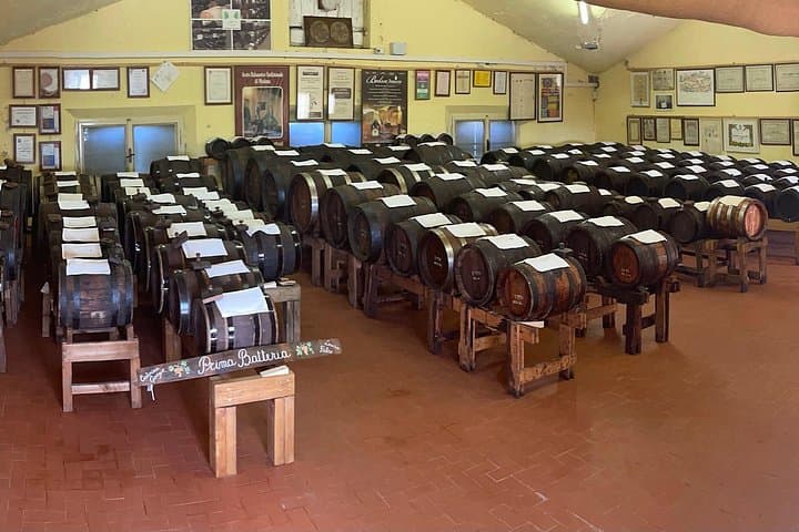 Besuch und Verkostung von traditionellem Balsamico-Essig aus Modena — Foto 3
