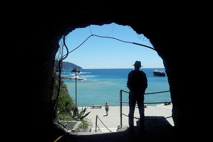 Tour Privado por Cinque Terre en Minivan y Ferry desde Pisa — foto 5