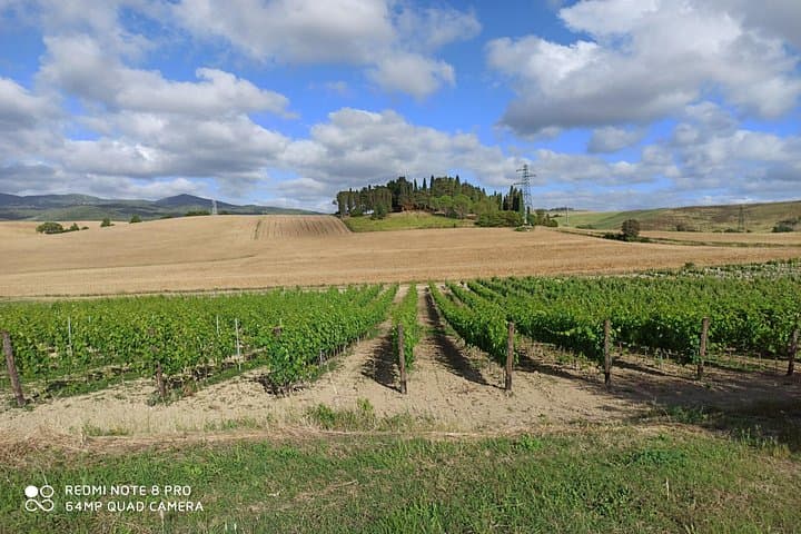 Tour de Chianti con Almuerzo y Degustaciones desde Pisa y Livorno — foto 3