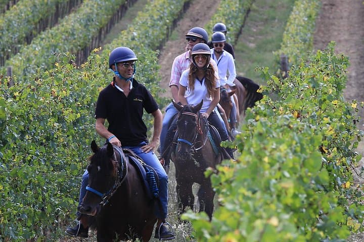 Tour de Vino a Caballo en Pequeño Grupo, San Gimignano, Almuerzo — foto 4