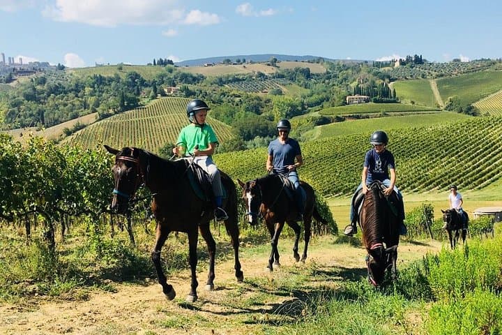 Tour enogastronomico a cavallo in piccoli gruppi, San Gimignano, Pranzo — foto 3