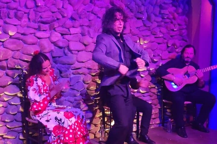 PREMIUM TAPAS TOUR: Paella, Tapas, Weingut und Flamenco