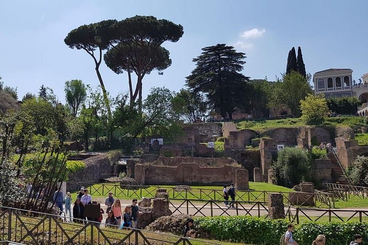 Tour Guidato del Piano dell'Arena del Colosseo, Foro Romano e Palatino — foto 3
