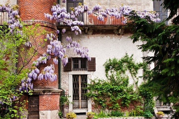 Tour Privado en Brera: Recorrido Guiado por el Distrito y la Pinacoteca — foto 4