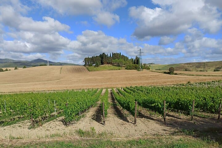 Transfer von Pisa nach Siena mit Weinprobe in San Gimignano — Foto 3