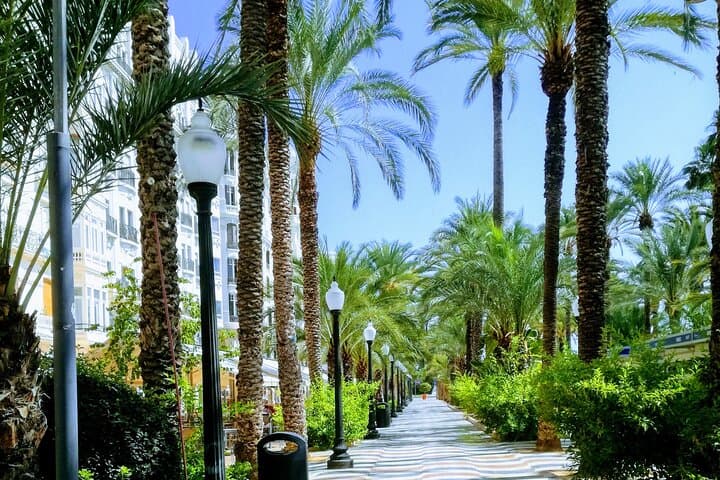 Privater Ganztagesausflug nach Alicante von Valencia — Foto 4