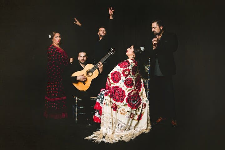Traditional Flamenco Show at Tablao Casa Ana — photo 2
