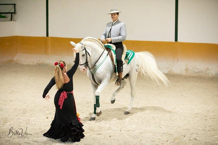 Cavalli Andalusi e Spettacolo di Flamenco a Torremolinos — foto 2