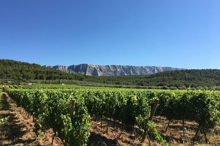 Tagesausflug nach Aix en Provence mit Weinprobe
