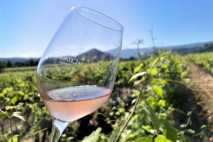 Tagesausflug nach Aix en Provence mit Weinprobe — Foto 5
