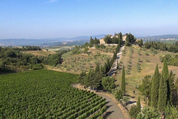 Private Chianti-Weintour — Foto 5