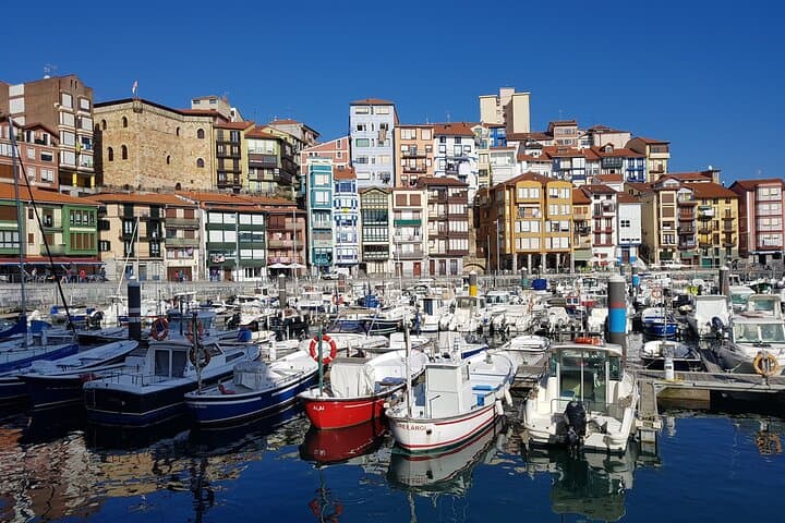 Costa della Biscaglia: Tour Privato a Dragonstone e Città Vicine — foto 3