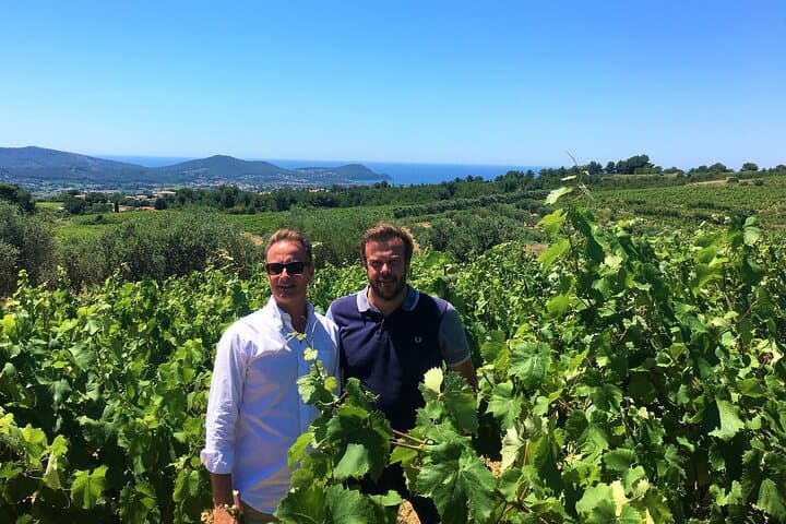 Ganztägige Weinverkostungstour rund um Bandol & Cassis ab Marseille — Foto 5