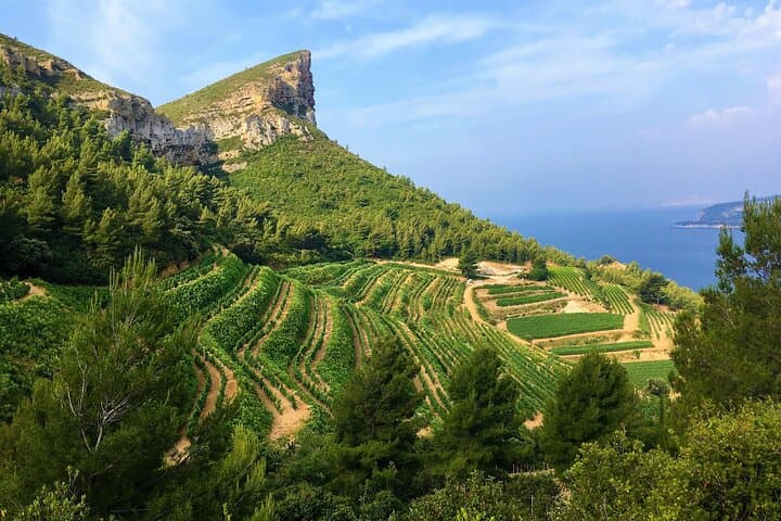 Ganztägige Weinverkostungstour rund um Bandol & Cassis ab Marseille