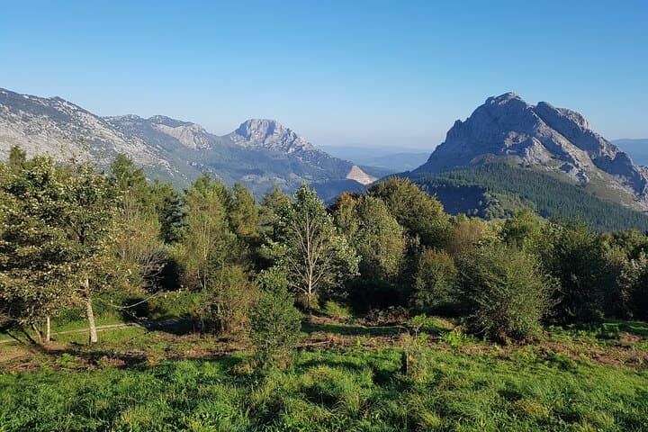 Tour Privato alla Scoperta di Villaggi, Foreste e Valli in Biscaglia