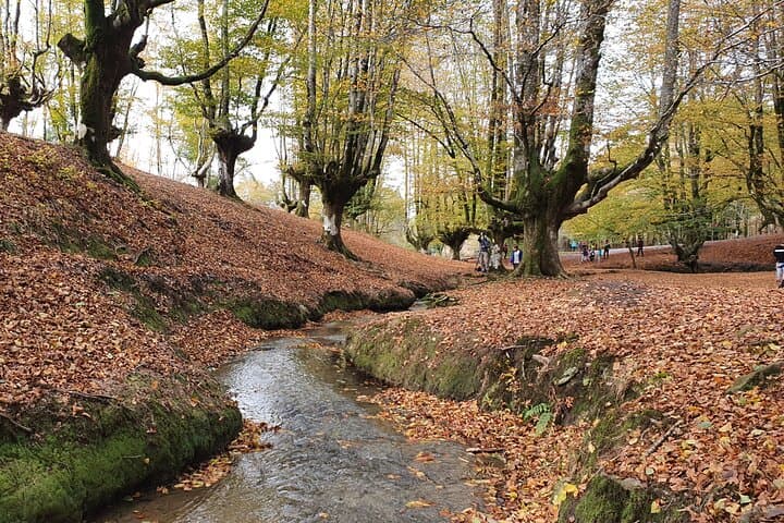 Tour Privato alla Scoperta di Villaggi, Foreste e Valli in Biscaglia — foto 3