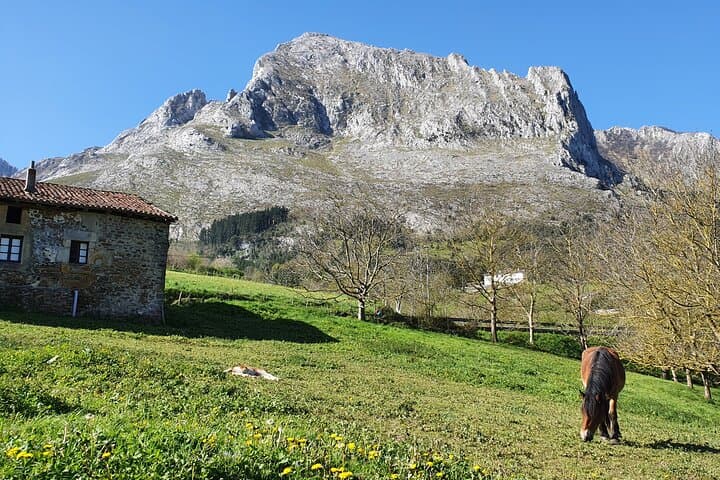 Tour Privato alla Scoperta di Villaggi, Foreste e Valli in Biscaglia — foto 4