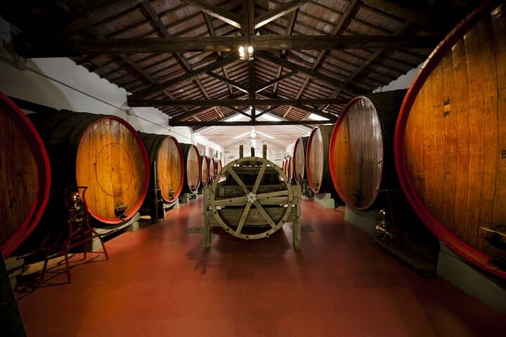 Degustazione di Vini Lambrusco a Modena