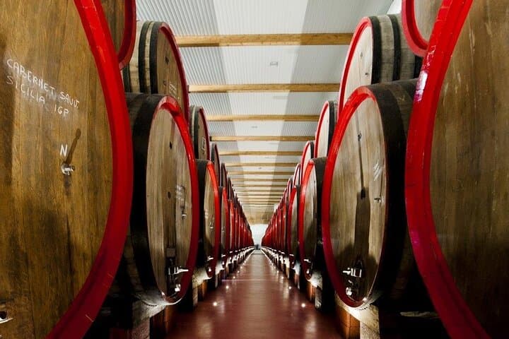 Lambrusco Weinverkostung in Modena — Foto 2