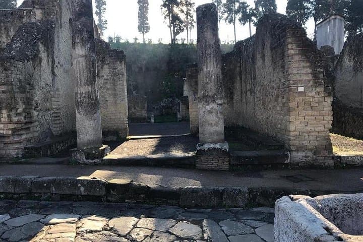 Tour di Gruppo Ridotto a Ercolano — foto 2