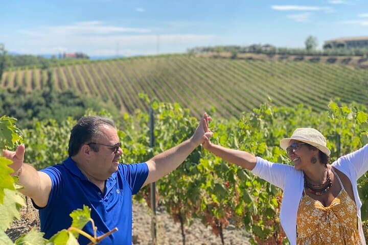 Chianti Weintour, mittelalterliche Dörfer, Mittagessen, Weinproben — Foto 5