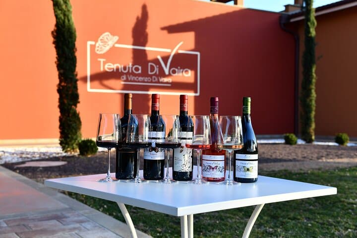 Private Bolgheri Wein Tour in der Toskana — Foto 2