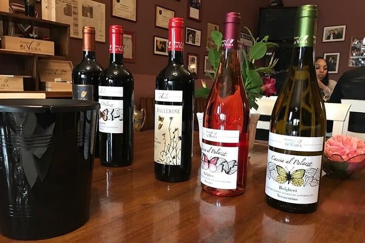 Private Bolgheri Wein Tour in der Toskana — Foto 5