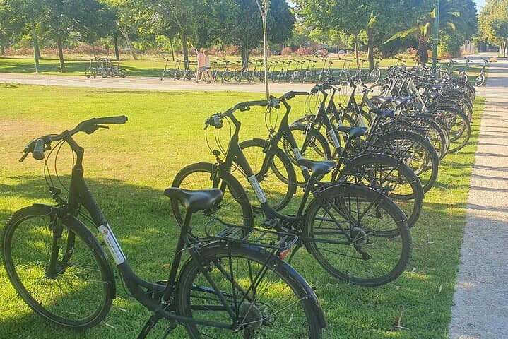 Tour in Bicicletta Guidato di Siviglia — foto 4