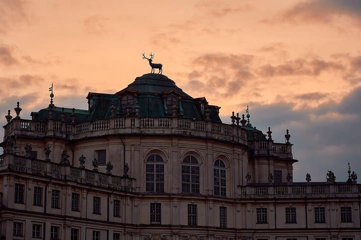 Turín: Visita guiada al Palacio de Stupinigi — foto 4