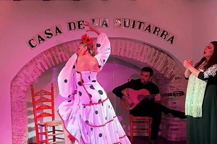 Casa de la Guitarra Flamenco Show in Seville
