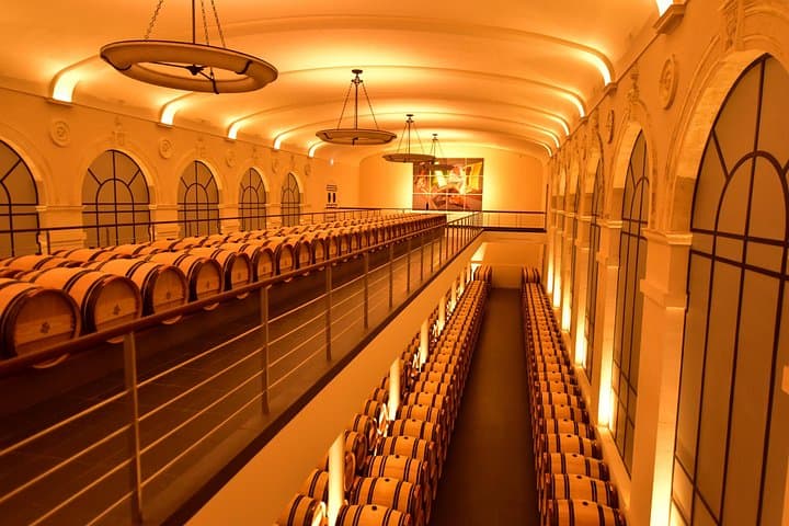 Private Tour von Saint-Emilion: Unterirdische Monumente und Weinprobe — Foto 3