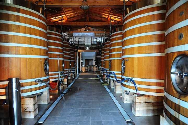 Private Tour auf der Route des Grands Vins du Médoc — Foto 4