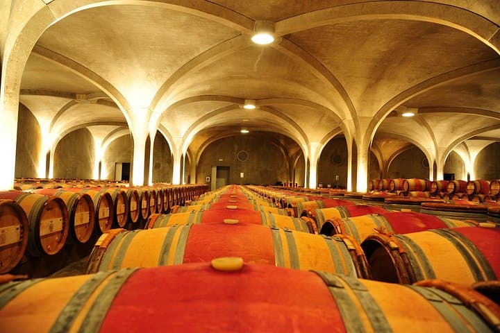 Private Tour auf der Route des Grands Vins du Médoc — Foto 5
