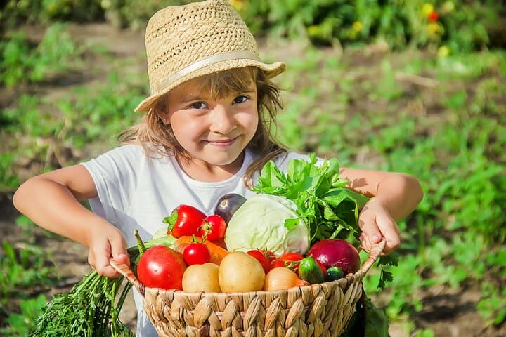 Clase de cocina práctica y tour por una granja en la Costa de Amalfi — foto 1