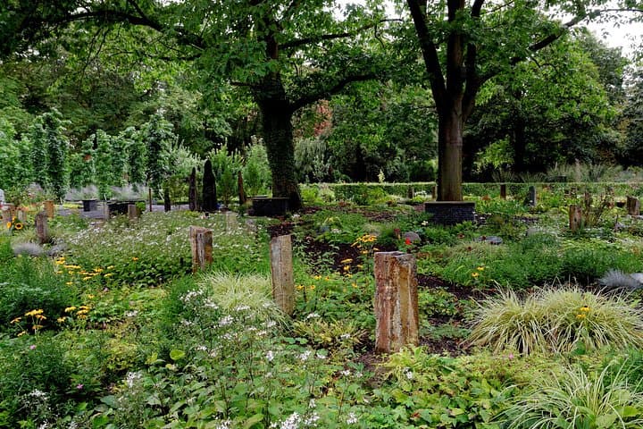 Private geführte Tour durch den Kölner Melatenfriedhof und die Altstadt