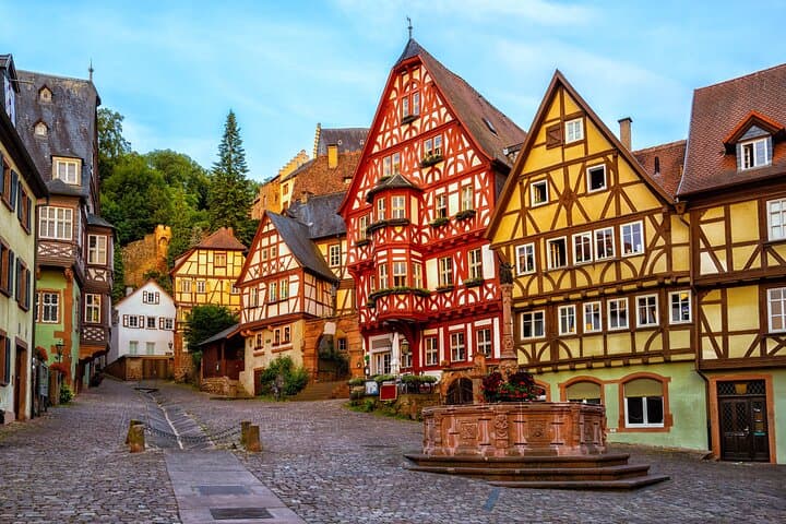 Privater Tagesausflug in die Altstadt von Frankfurt von Köln aus mit dem Zug — Foto 4